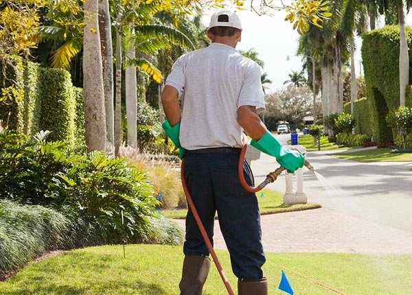 About Passaic NJ Pest Control Pros